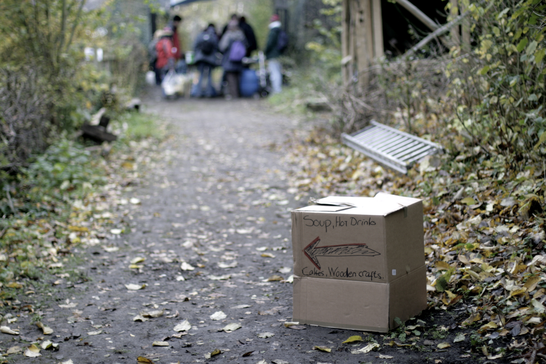 The Conversation Volunteers at Hollybush