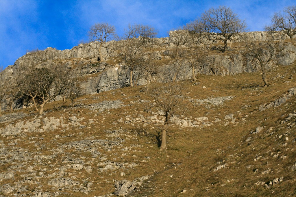 _MG_0175