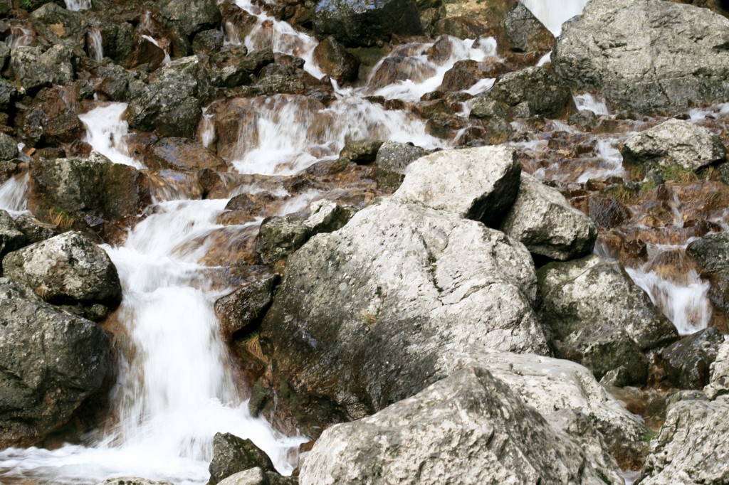 _MG_0215