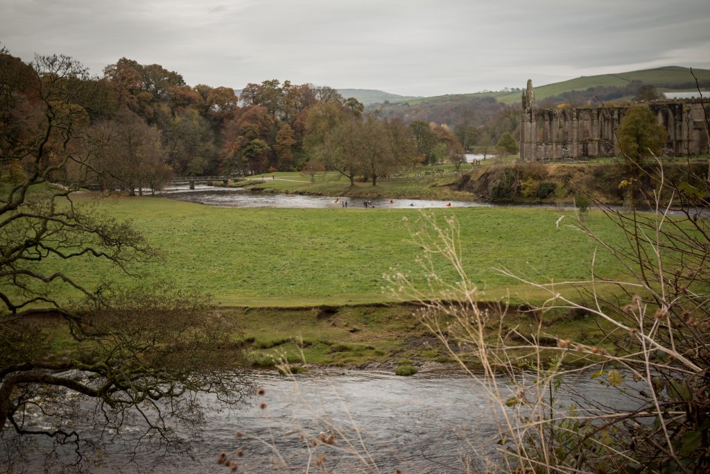 20161113_bolton-abbey-34