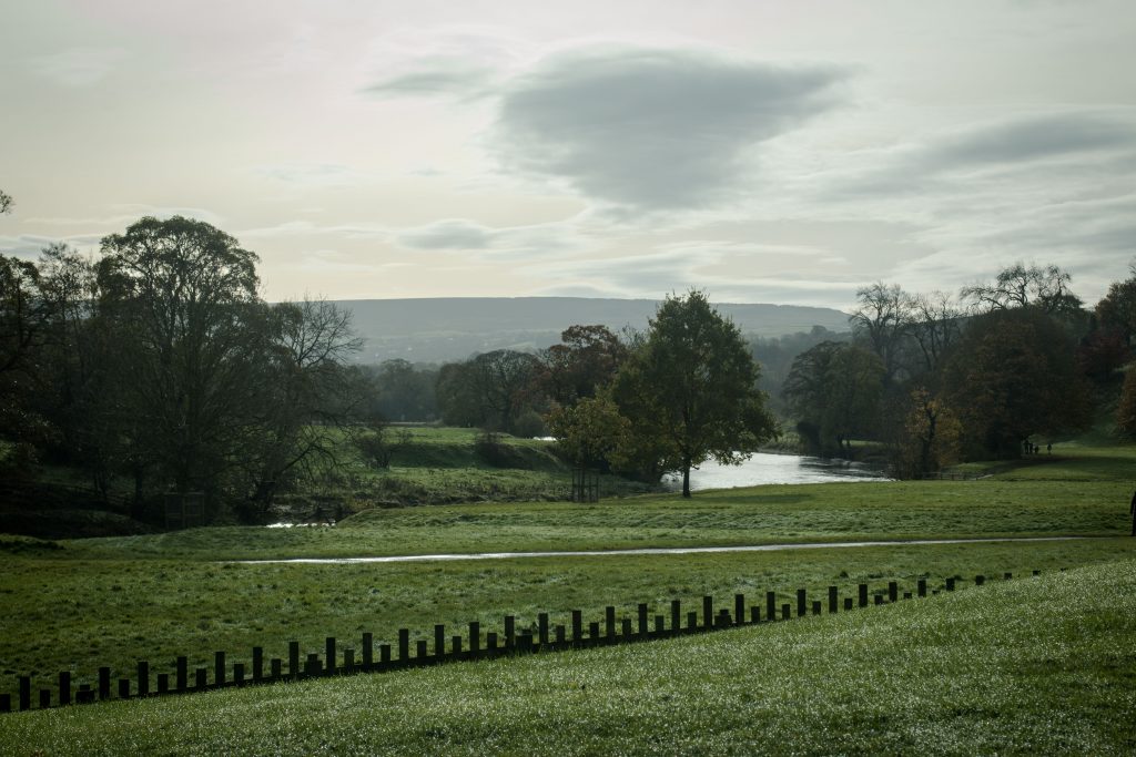 20161113_bolton-abbey-4